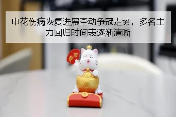 申花伤病恢复进展牵动争冠走势，多名主力回归时间表逐渐清晰